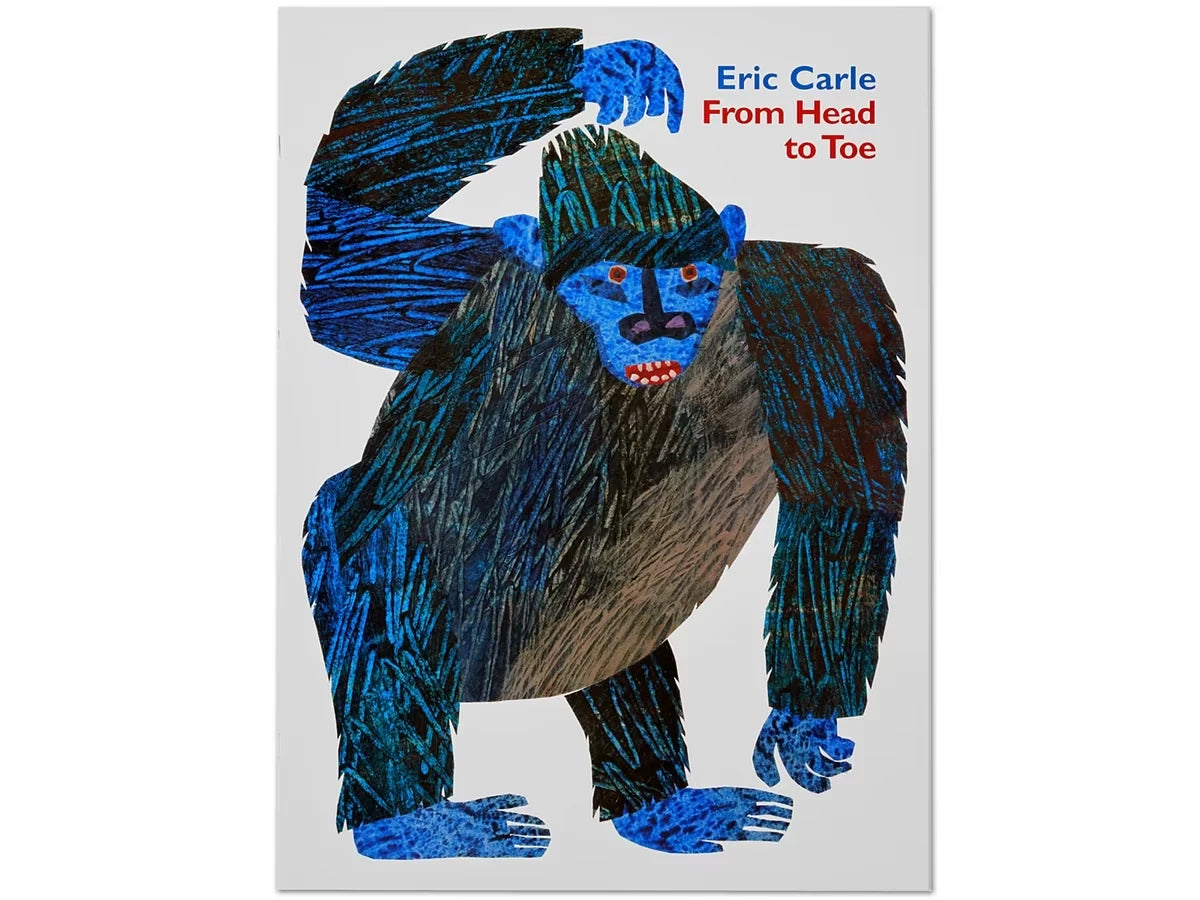 From Head to Toe Big Book - US 7955