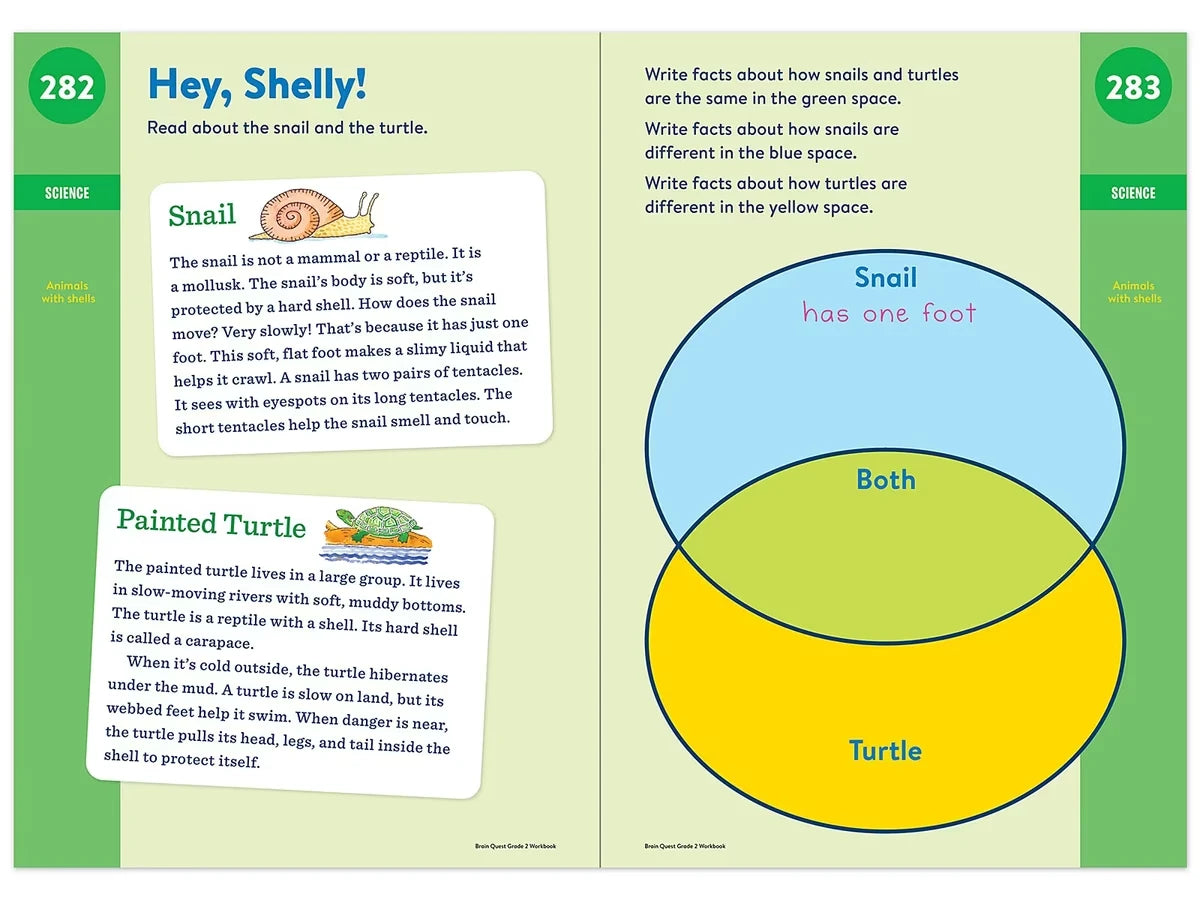 Brain Quest Workbook - Gr. 2 - US 8132