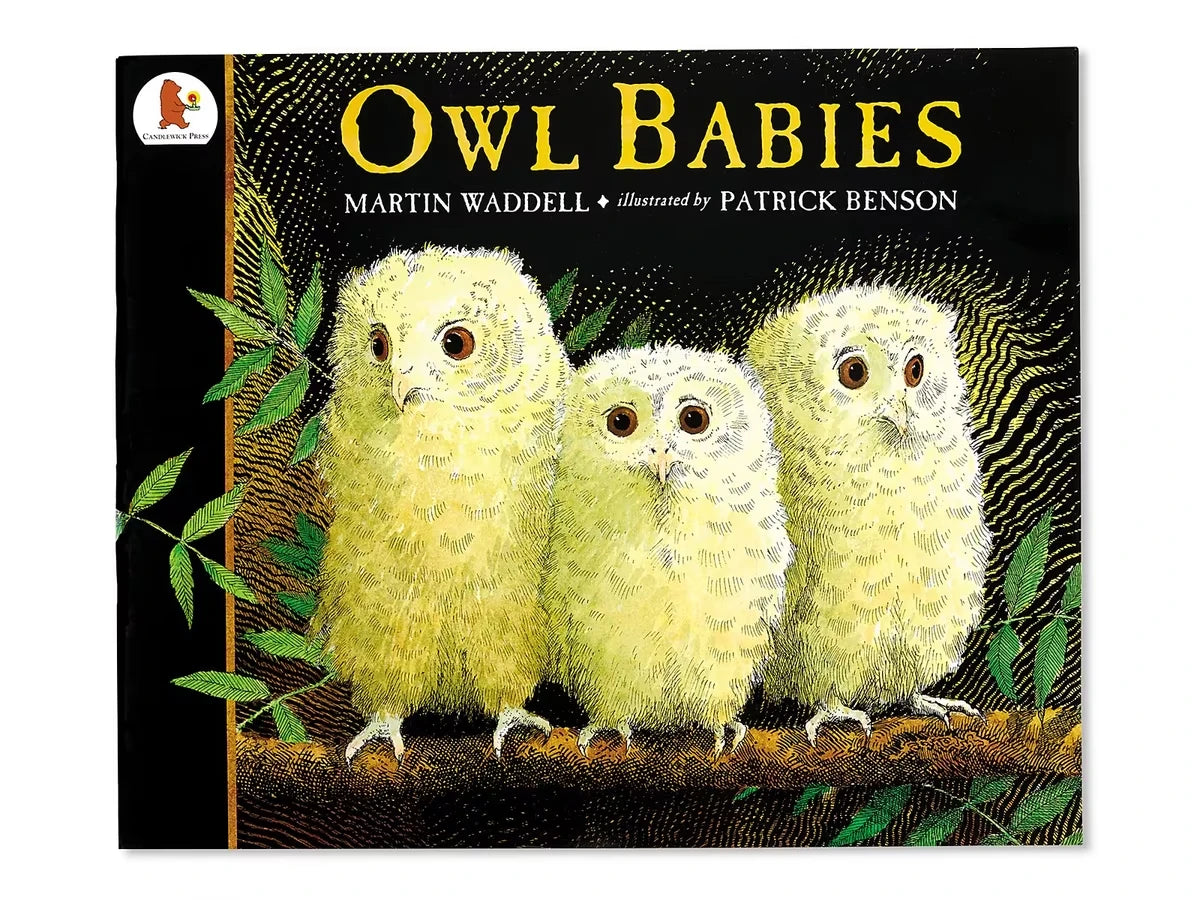 Owl Babies Big Book - US 8861