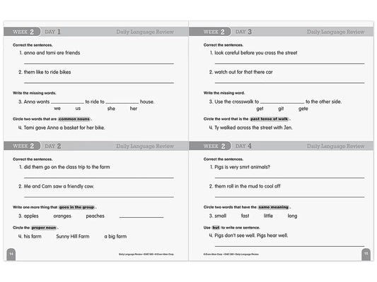 Daily Language Review Workbook - Gr. 2 - US 6941