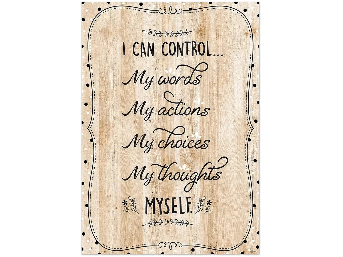 I Can Control… Wooden Poster - US 7302