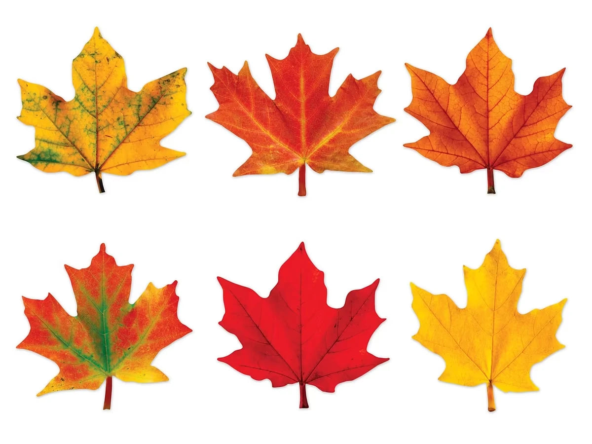 Maple Leaf Mini Accents - US 4628