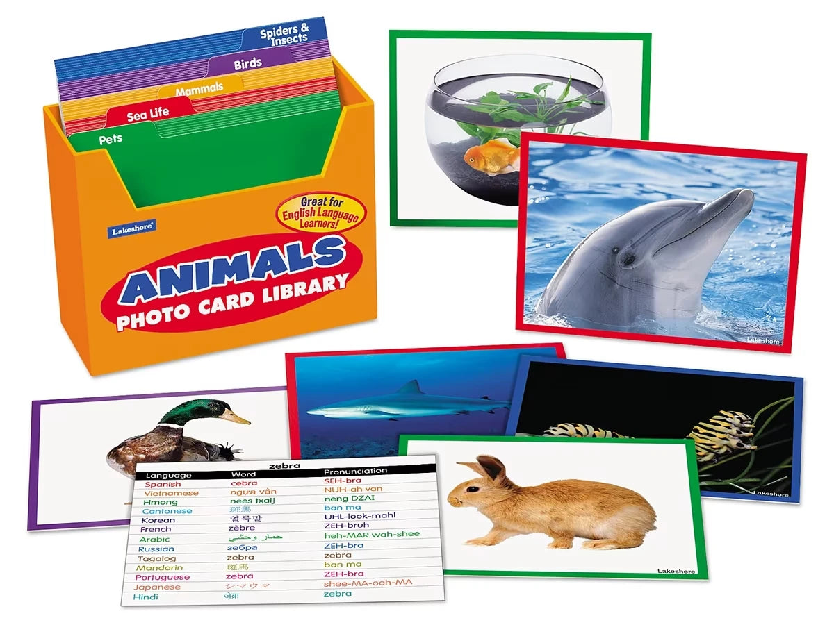 Animals Vocabulary Development Photo Card Library - US 9207