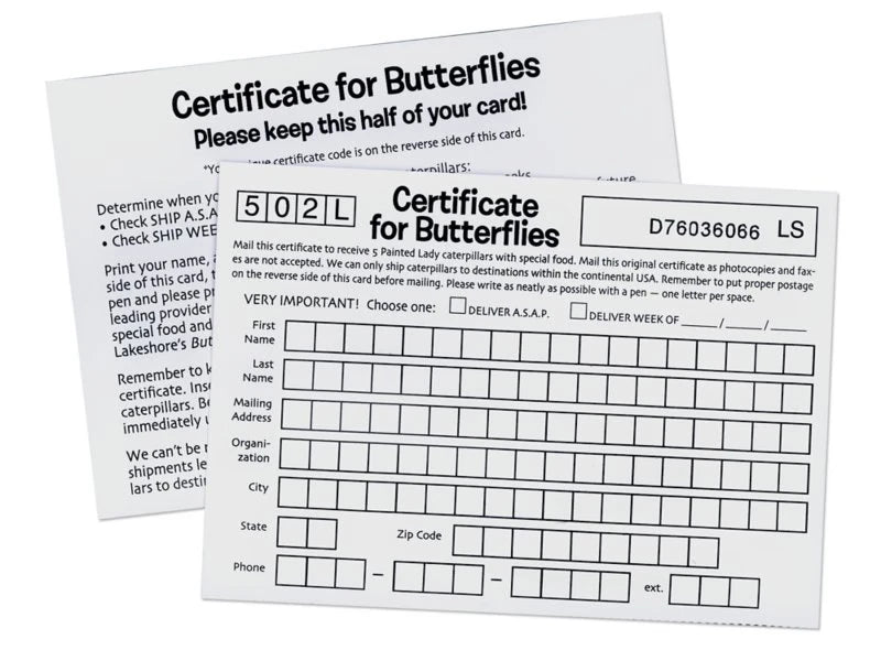 The Butterfly Nursery - US 3554