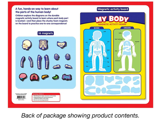 My Body Magnetic Activity Board - US 2895