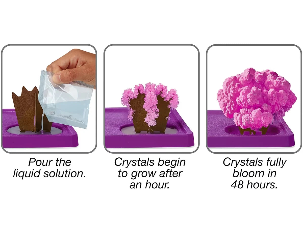 Dinosaurs Magic Crystal Growing Kit - US 2902