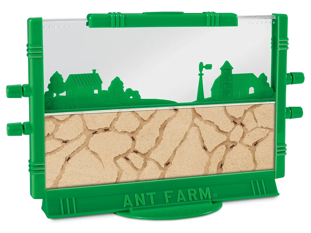 Ant Farm - US 2869