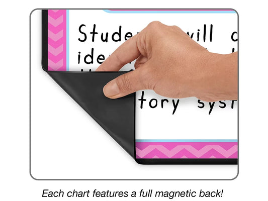 Magnetic Write & Wipe Organization Charts - US 3381