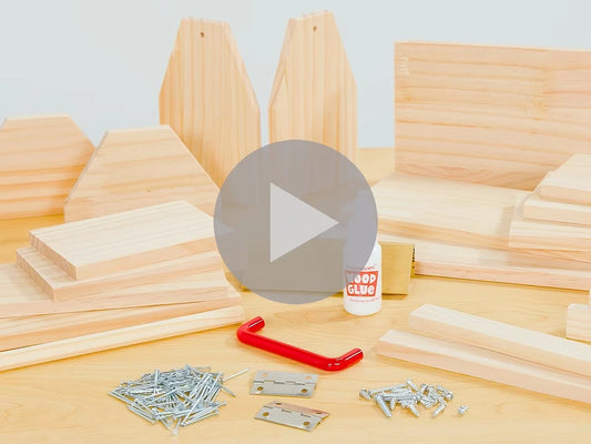 Young Woodworker’s Project Kit - US 3818