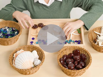 Seaside Wonders Loose Parts Discovery Kit - US 2362