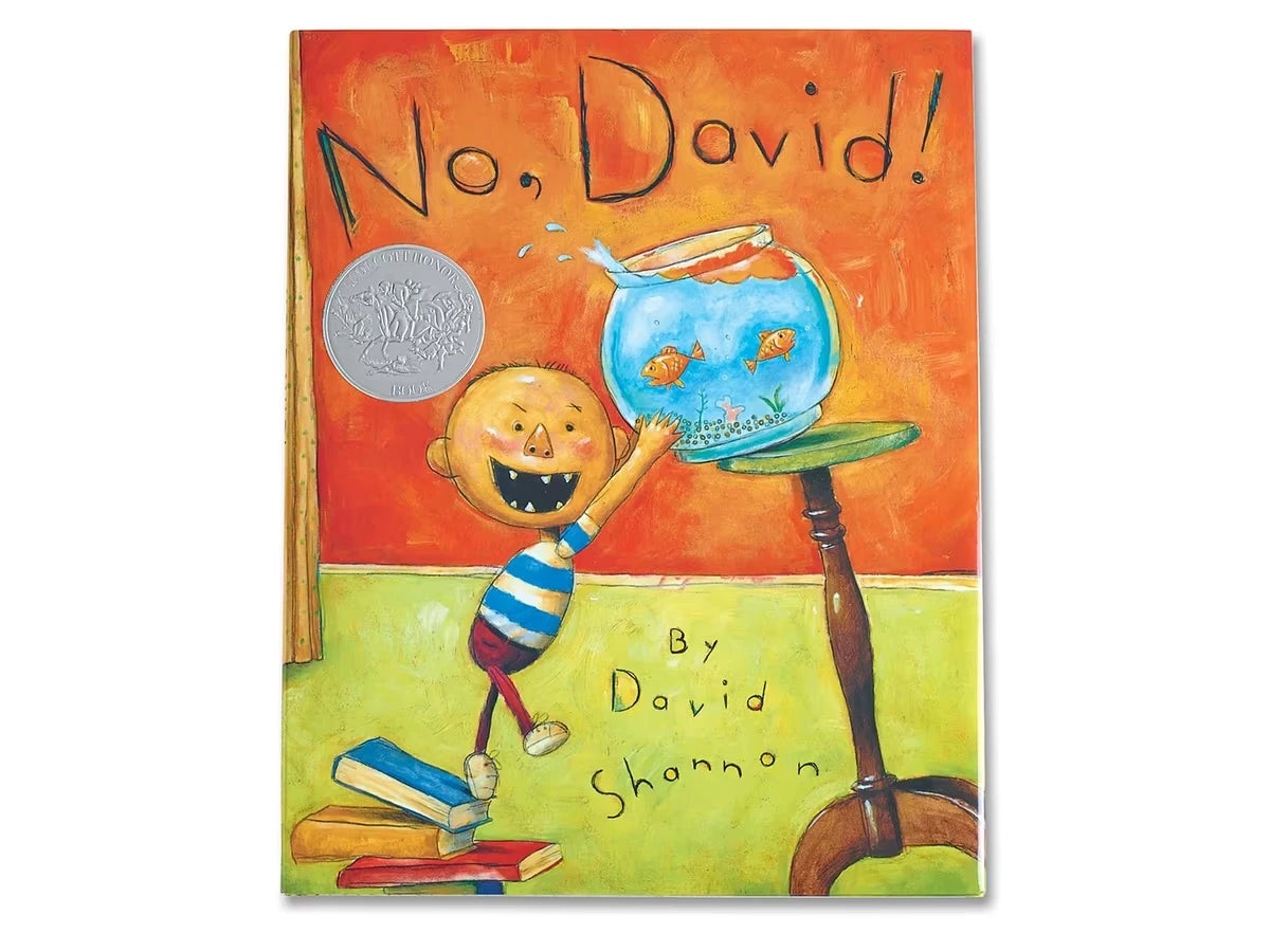No, David! Hardcover Book - US 3145