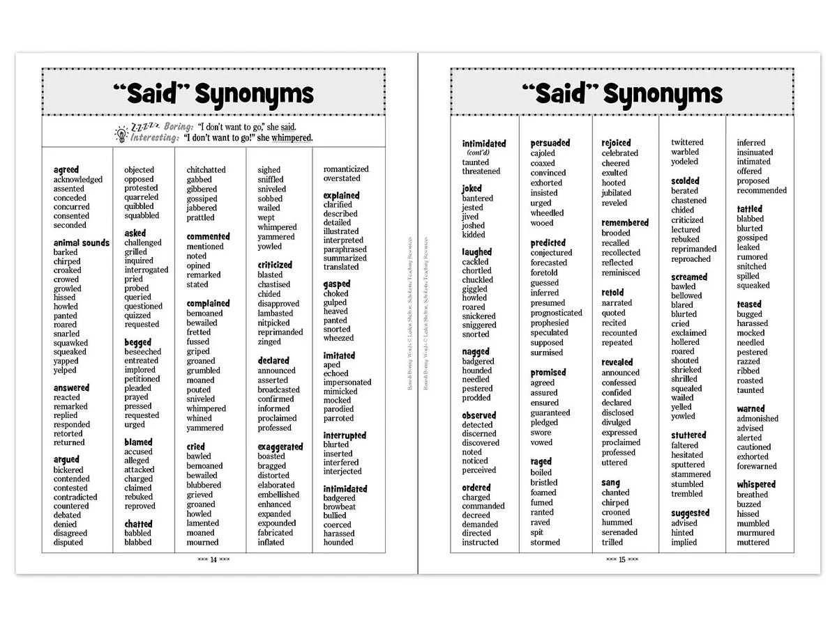 Banish Boring Words Workbook - US 3212