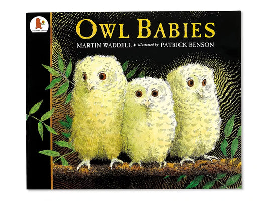 Owl Babies Big Book - US 8861