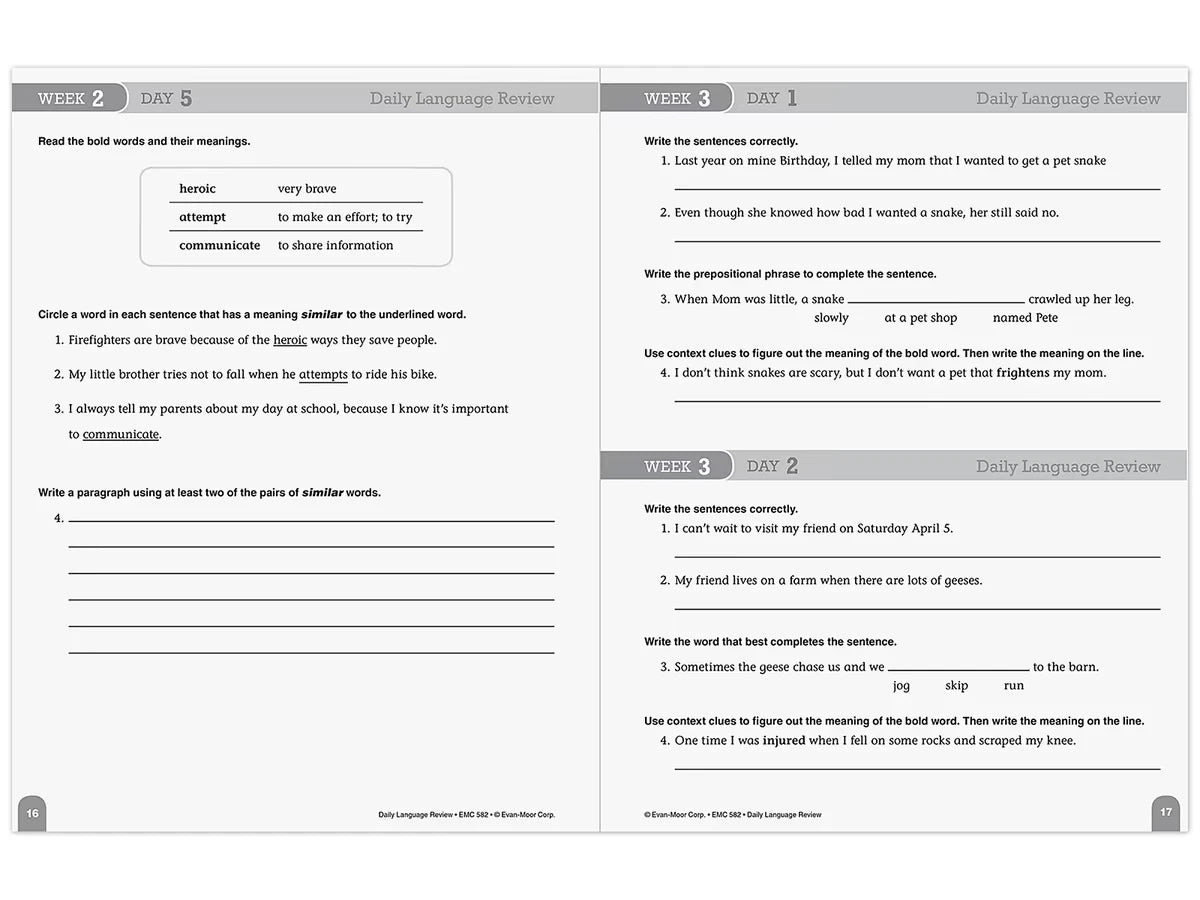 Daily Language Review Workbook - Gr. 4 - US 1282