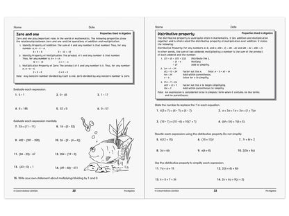 Pre-Algebra Skills for Success Workbook - US 8546