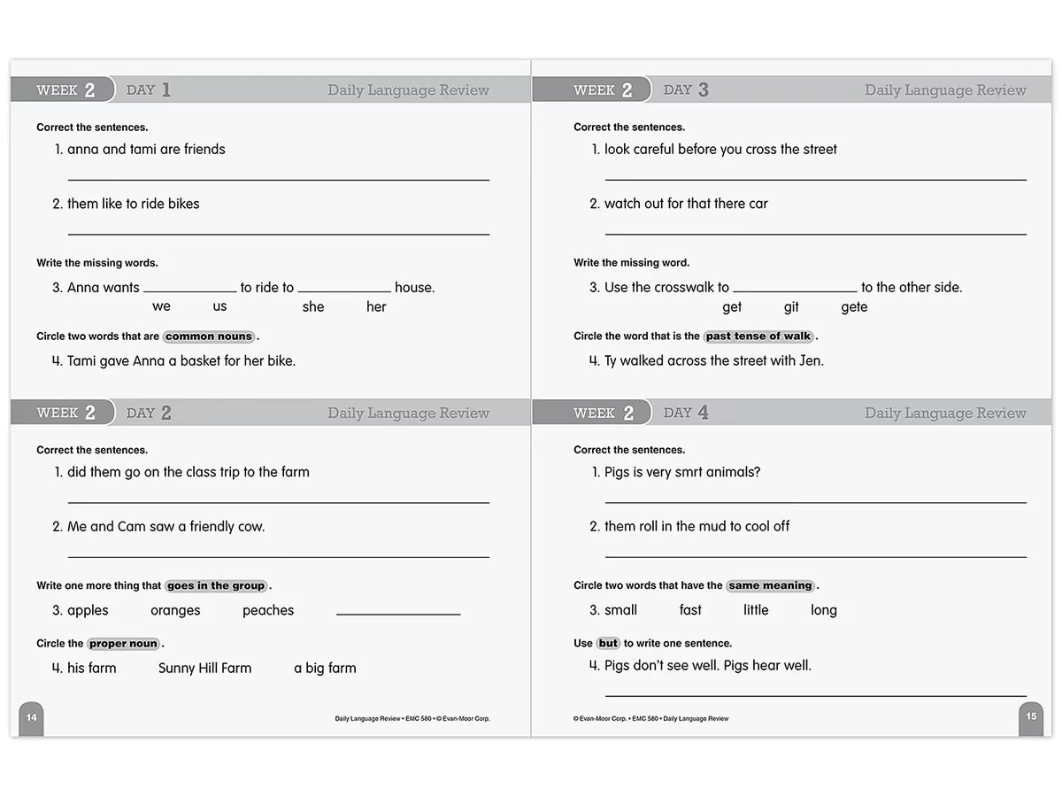 Daily Language Review Workbook - Gr. 2 - US 6941