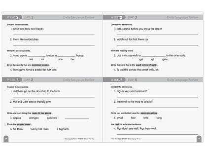 Daily Language Review Workbook - Gr. 2 - US 6941