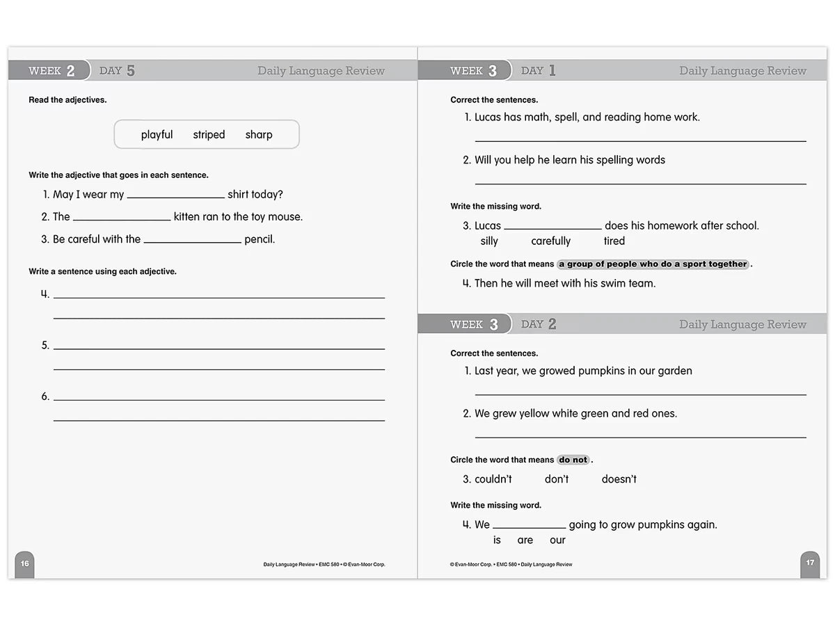 Daily Language Review Workbook - Gr. 2 - US 6941