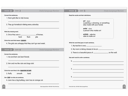 Daily Language Review Workbook - Gr. 2 - US 6941