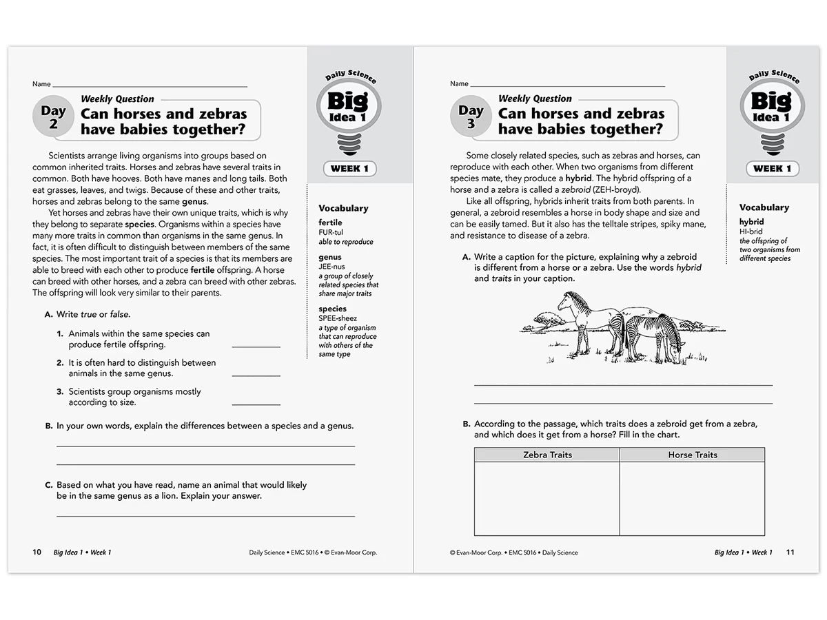 Daily Science Reproducible Activities Workbook - Gr. 6 - US 6119