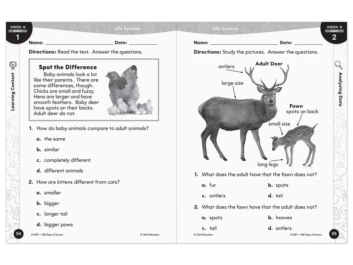 180 Days of Science Workbook - Gr. 1 - US 4446