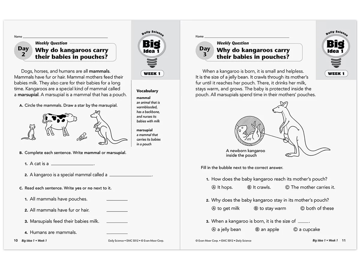 Daily Science Reproducible Activities Workbook - Gr. 2 - US 2898
