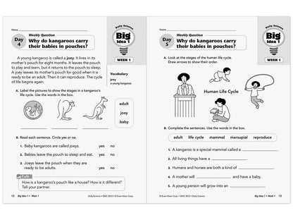 Daily Science Reproducible Activities Workbook - Gr. 2 - US 2898
