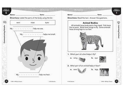 180 Days of Science Workbook - Kindergarten - US 9556