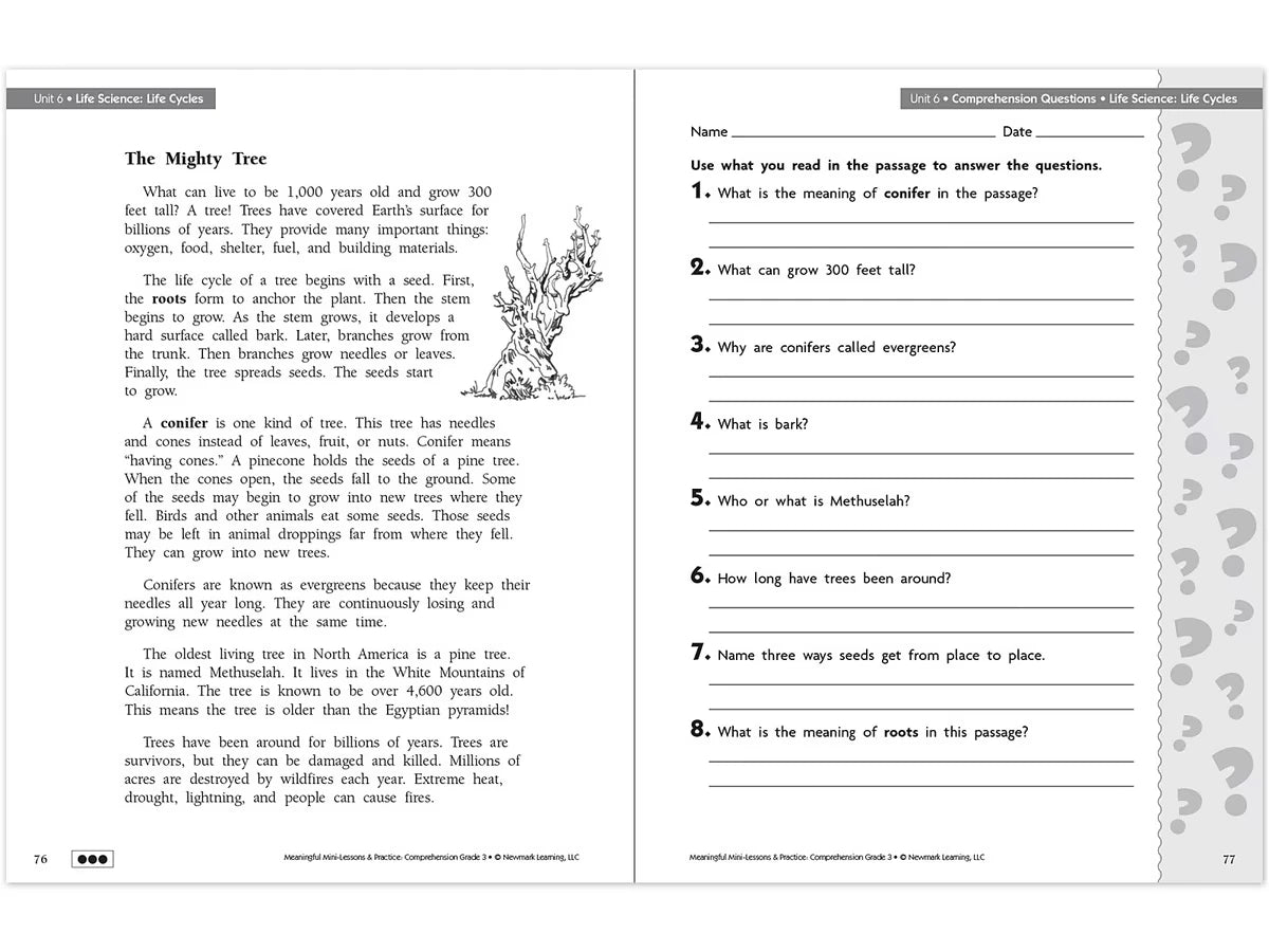 Comprehension Workbook - Gr. 3 - US 6908