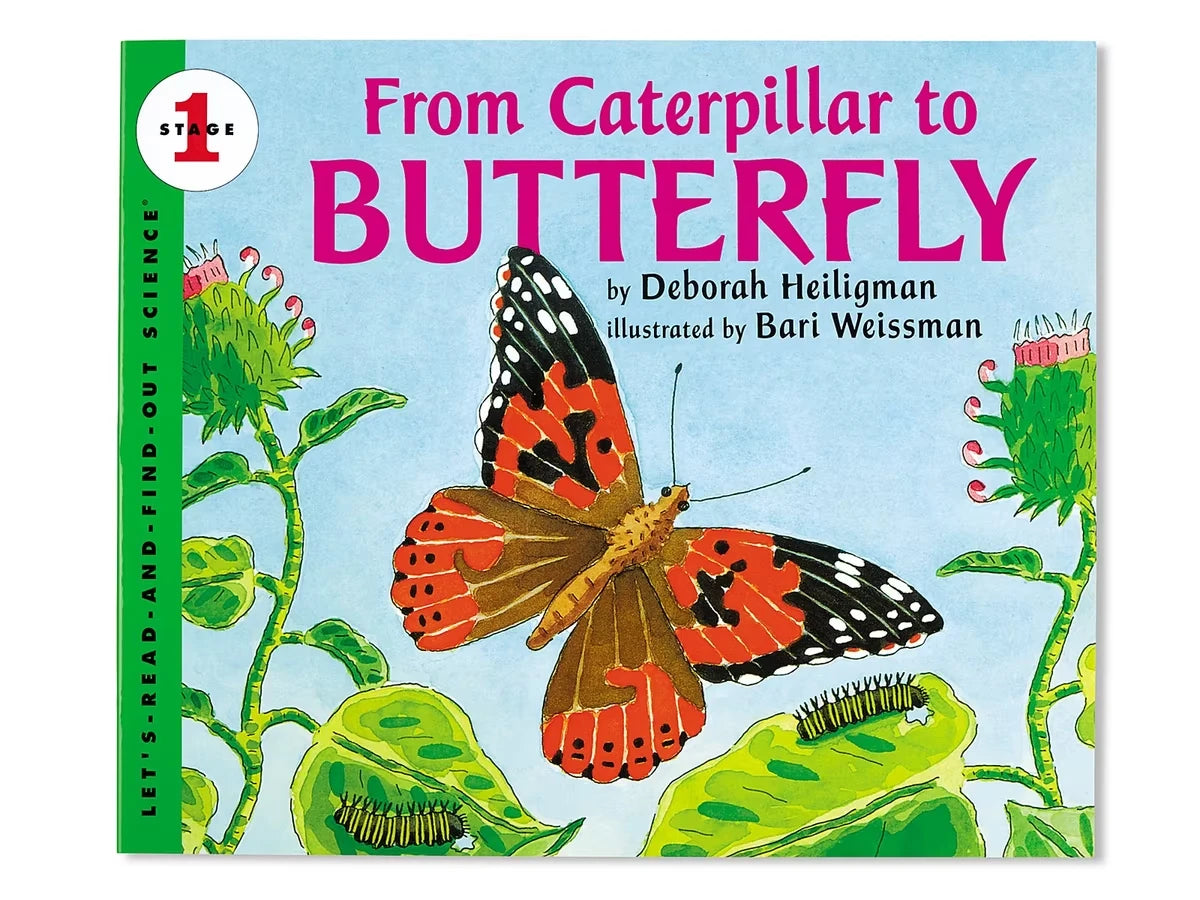 From Caterpillar to Butterfly Big Book - US 1787