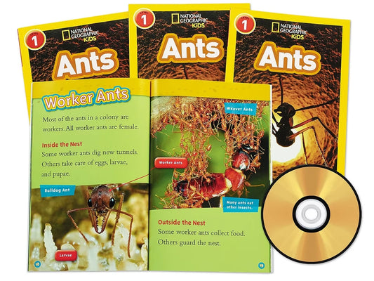 Ants Read-Along - US 6417