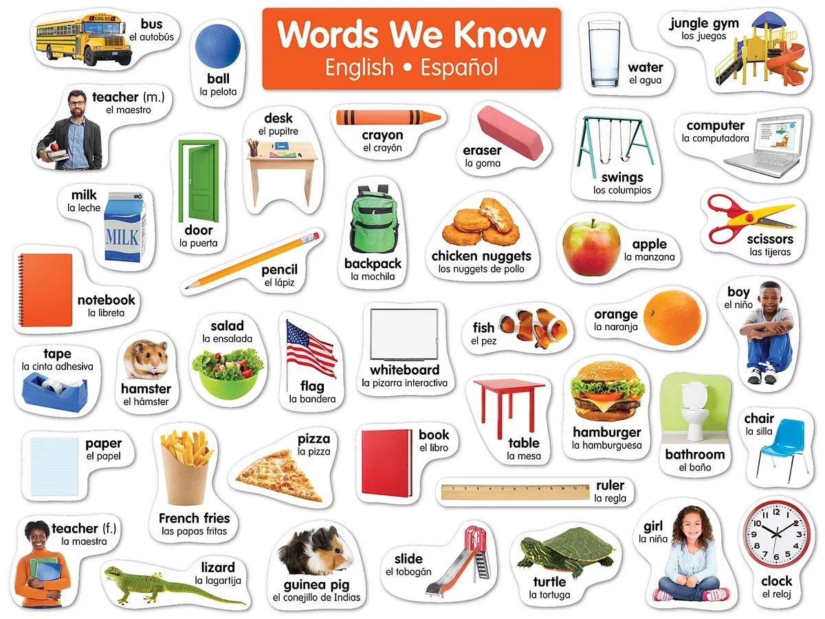 Spanish-English Word Wall Bulletin Board Set - US 1327