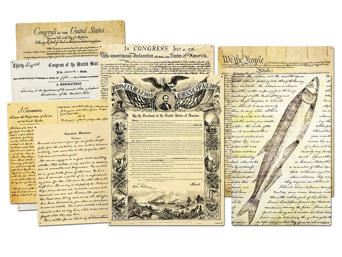 Primary Source Magnetic Poster Pack - US 5659