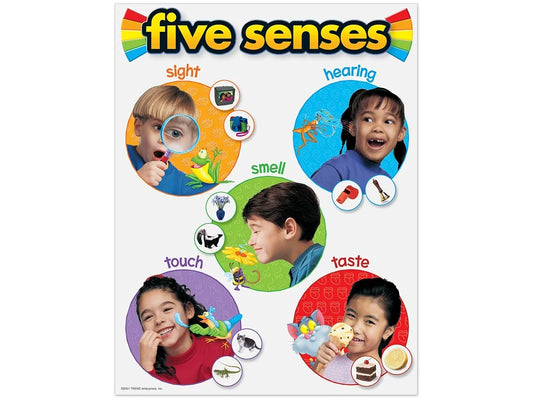 Five Senses Photo Reference Poster - US 2917