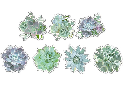 Simply Stylish Succulent Accents - US 8234