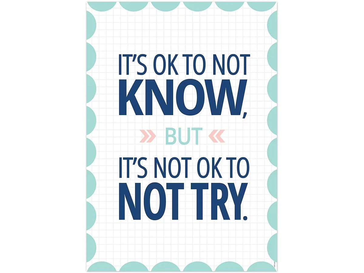 Calm & Cool It’s OK to Not Know Poster - US 5793