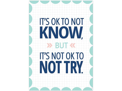 Calm & Cool It’s OK to Not Know Poster - US 5793