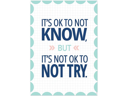 Calm & Cool It’s OK to Not Know Poster - US 5793
