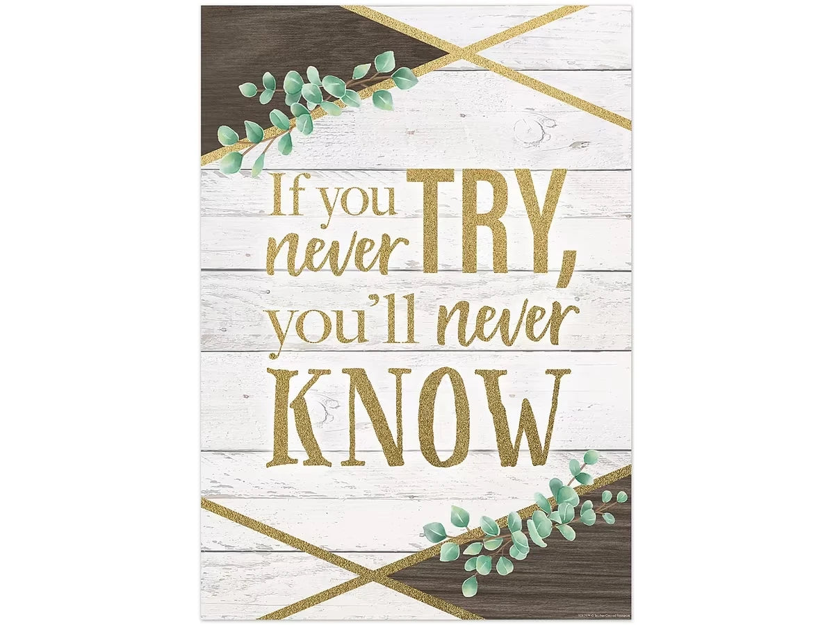 Eucalyptus If You Never Try Poster - US 7657