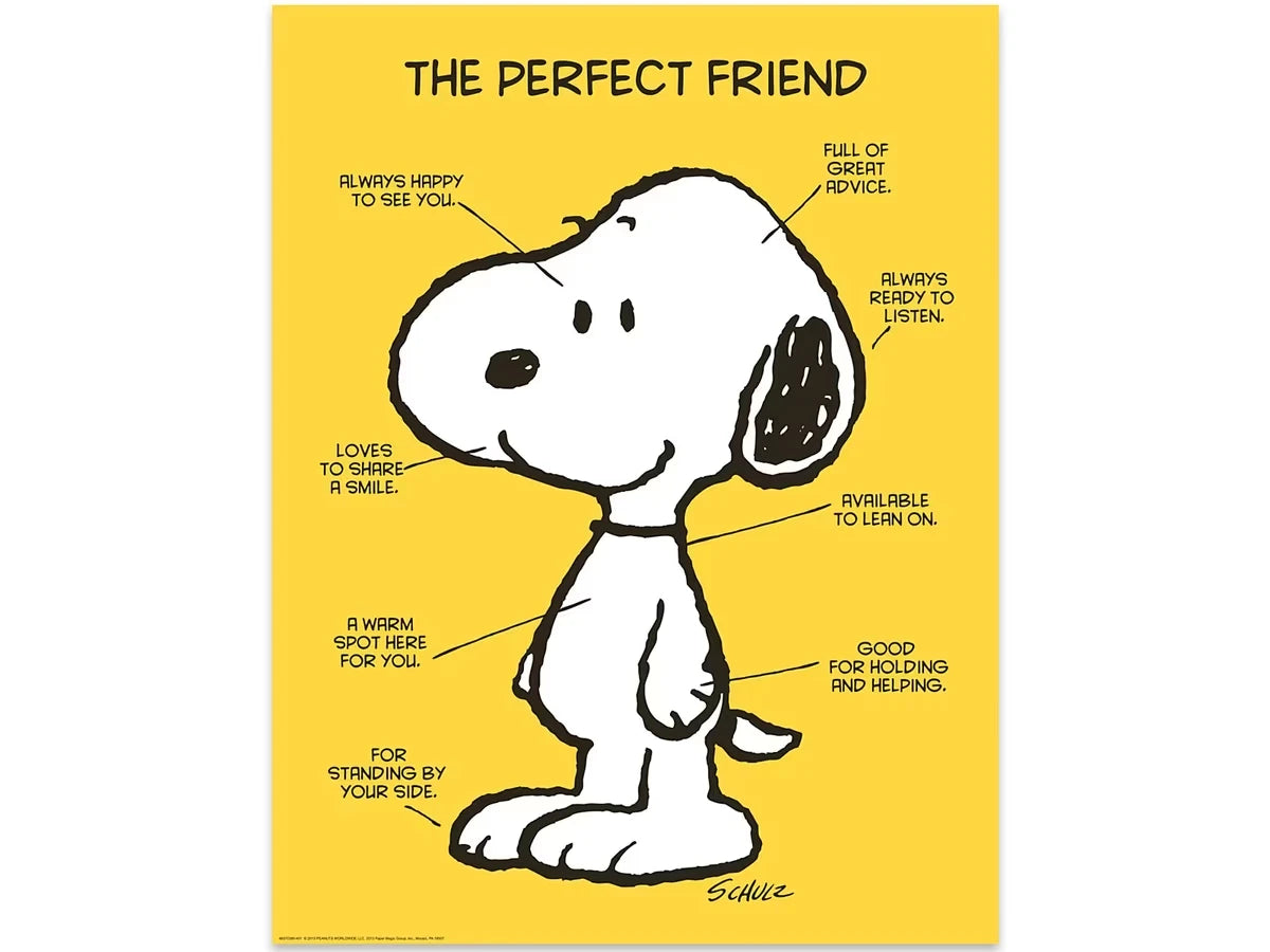 Peanuts® the Perfect Friend Poster - US 2983
