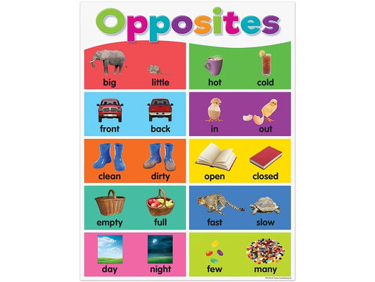 Colorful Opposites Poster - US 7003