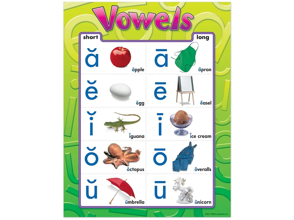 Vowels Photo Poster - US 8021