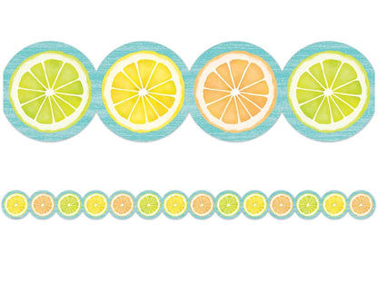 Lemon Zest Citrus Slices Border - US 6332