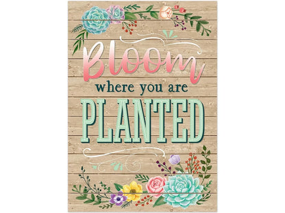 Rustic Bloom - Bloom Where You Are Planted Poster - US 1229