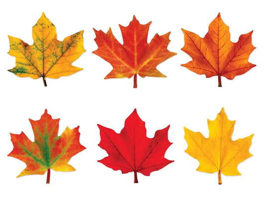 Maple Leaf Mini Accents - US 4628