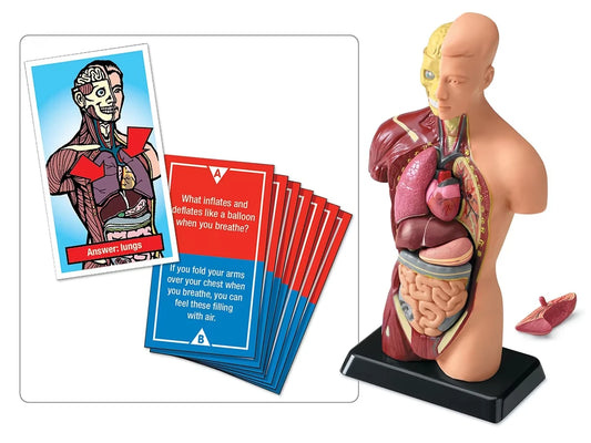 Fascinating Facts Human Body Game - US 5220
