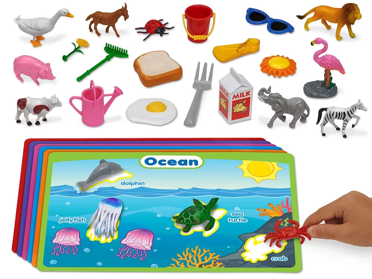 Category Sorting Activity Box - US 1849