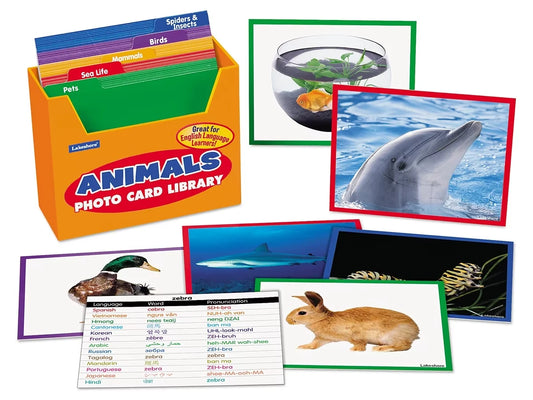 Animals Vocabulary Development Photo Card Library - US 9207
