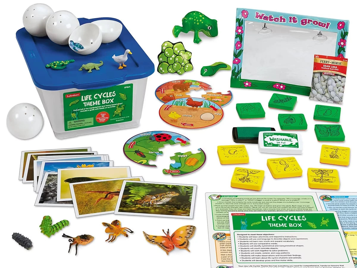 Life Cycles Theme Box - US 4163