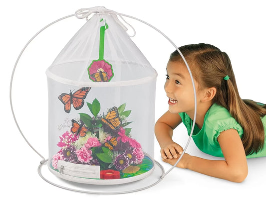 The Butterfly Nursery - US 3554